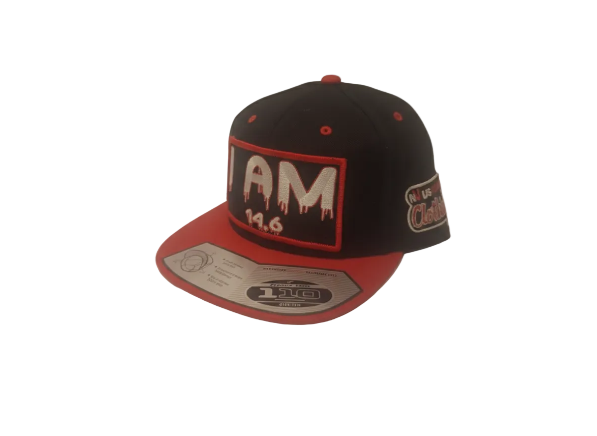 I AM John 14:6 Snapback