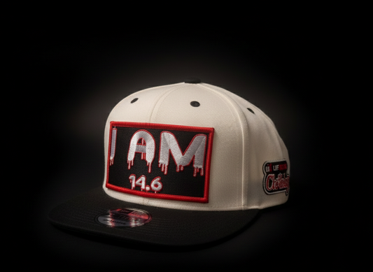 I AM John 14:6 Snapback